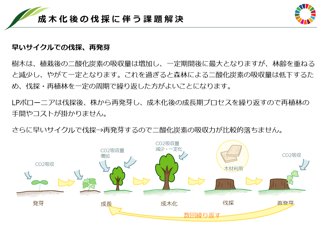 afforestationイメージ